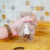 Fleur de douche extra douce en micro éponge OEKO-TEX bambou cappuccino