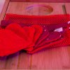 Filet de lavage + 7 lingettes coeurs